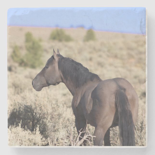 Porta-copo De Pedra S Steens Stone Coaster (Frente)