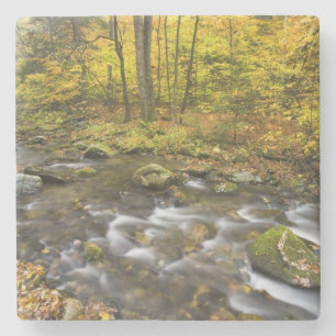 Porta-copo De Pedra Sanderson Brook. Floresta Estadual Chester-Blanfor