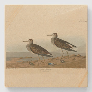 Porta-copo De Pedra Sandpiper Pecorial das Aves da América de Audubon