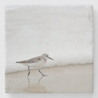 Porta-copo De Pedra Sandpiper Shorebird Beach House Porta copos