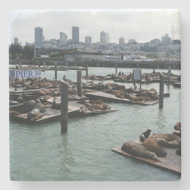 Porta-copo De Pedra São Francisco e Pier 39 Sea Lions City Skyline (Frente)