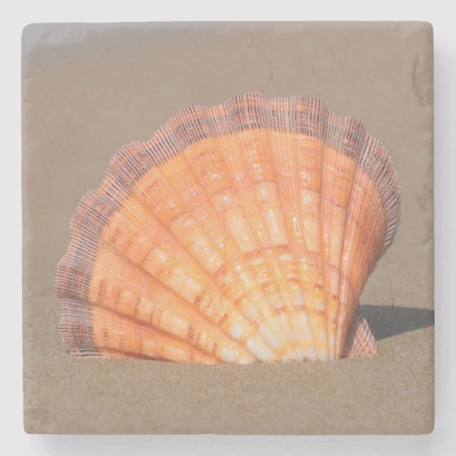 Porta-copo De Pedra Scallop Shell| Crete, piscina (Frente)