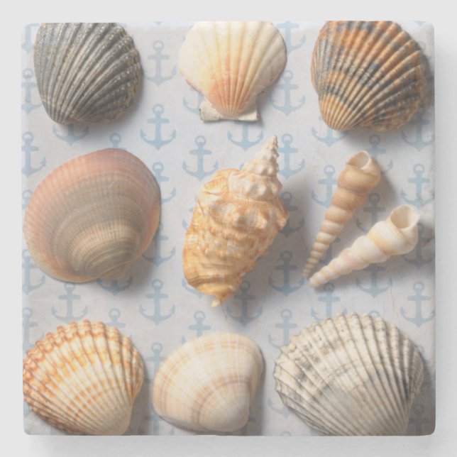 Porta-copo De Pedra Seashells no contexto da âncora (Frente)