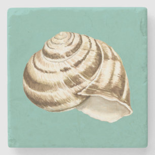 Porta-copo De Pedra Sepia Striped Shell on Teal