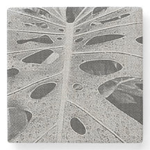 Silkscreen de Monstera