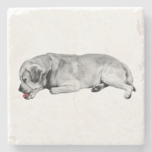 Porta-copo De Pedra Sip Gentil, Pequeno Spark