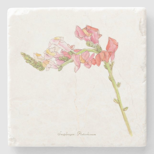 Porta-copo De Pedra Snapdragon (Frente)