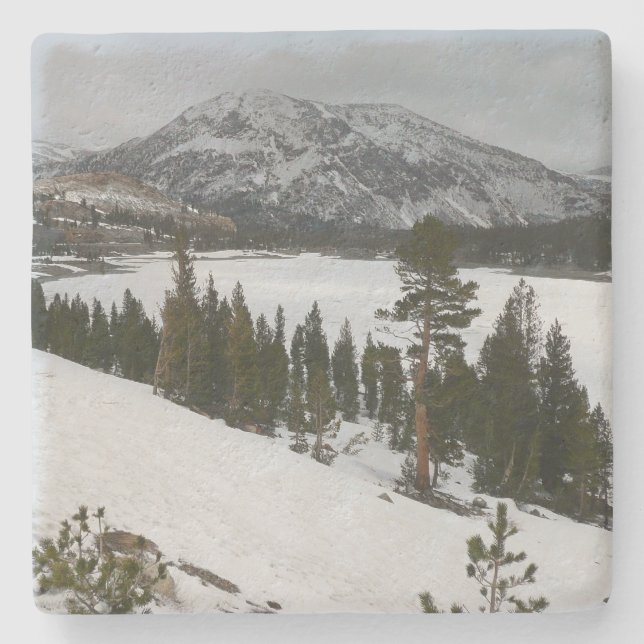 Porta-copo De Pedra Snowy Ellery Lake California - Paisagem de inverno (Frente)