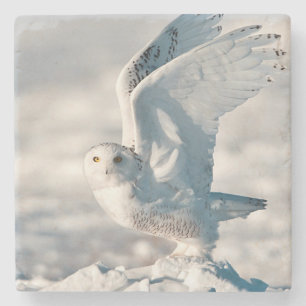 Porta-copo De Pedra Snowy Owl a sair da neve