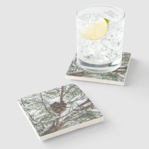 Porta-copo De Pedra Snowy Pine Cone II Fotografia de inverno