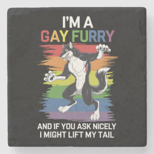 Porta-copo De Pedra Sou uma Raposa Furry Gay Arco-íris Orgulho LGBTQ