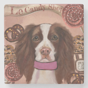 Porta-copo De Pedra Springer Spaniel Inglês