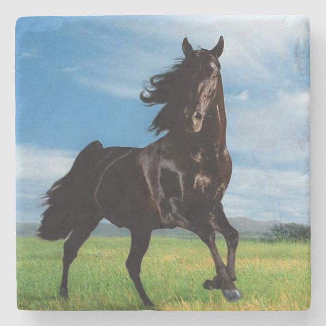 Porta-copo De Pedra Stallion Negro (Frente)