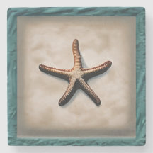 Starfish Sea Life Beach Ocean Art Decor