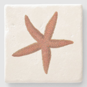 Porta-copo De Pedra Starfish - Sherman Denton Fish Lithograph