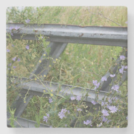 Porta-copo De Pedra Stone Coaster