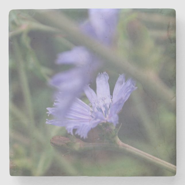 Porta-copo De Pedra Stone Coaster (Frente)