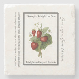 Porta-copo De Pedra Strawberry seedling is a Christmas tree