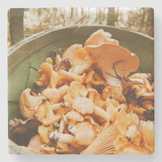 Porta-copo De Pedra Swedish Archipelago Mushroom Foraging Photo