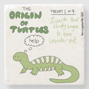 Porta-copo De Pedra Teoria 1 das Tartarugas