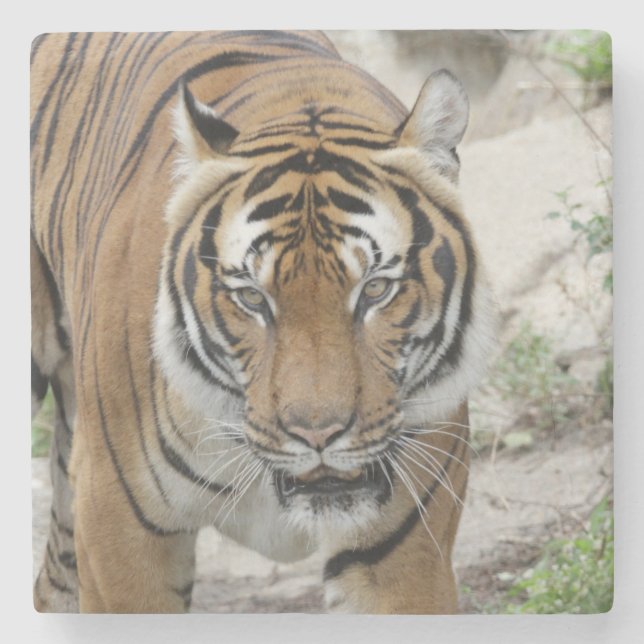 Porta-copo De Pedra Tiger_001 (Frente)