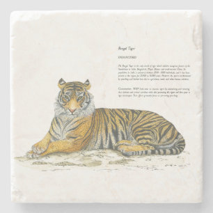 Porta-copo De Pedra Tigre Bengala Mestoso Pintado