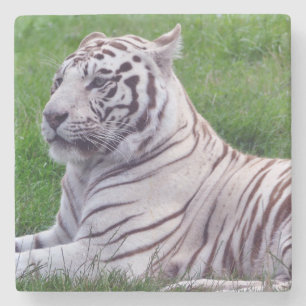 Porta-copo De Pedra Tigre Branco