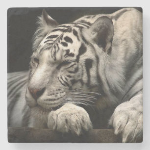 Porta-copo De Pedra Tigre Branco