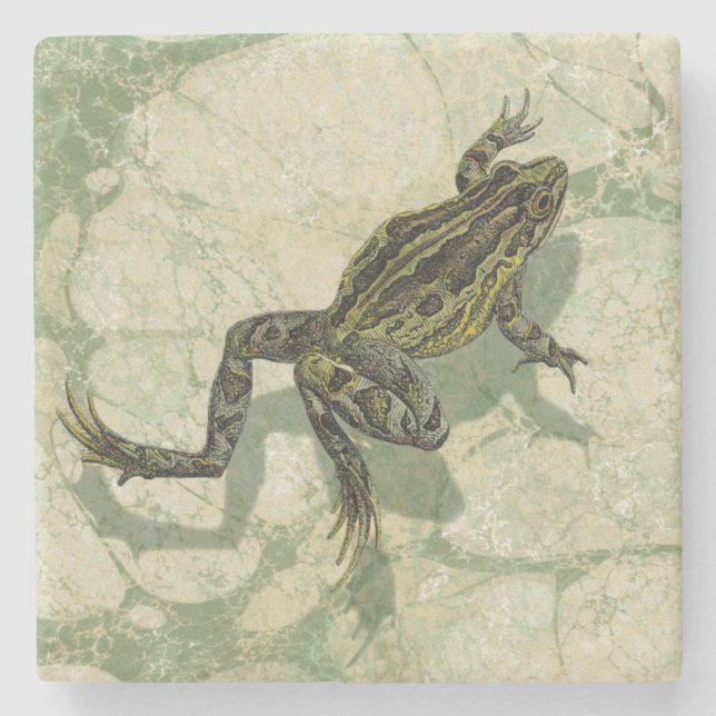 Porta-copo De Pedra Toad Swinning na água (Frente)