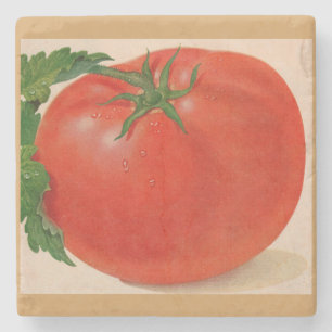 Porta-copo De Pedra Tomate excelente BIG suculento