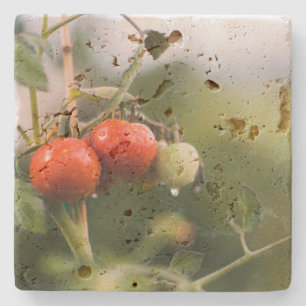 Porta-copo De Pedra tomate molhado na vinha