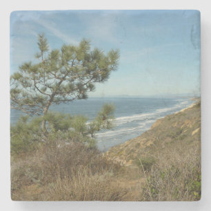 Porta-copo De Pedra Torrey Pine e California Costeira Paisagem