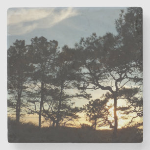 Porta-copo De Pedra Torrey Pine Sunset II, área da Califórnia