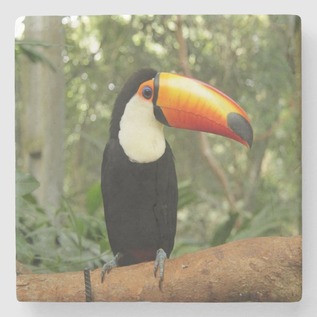 Porta-copo De Pedra Toucan na ramificação da árvore (Frente)