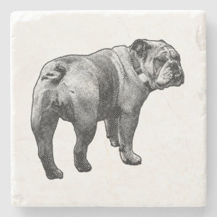 Porta-copo De Pedra Touro Bulldog, Momentos Compartilhados