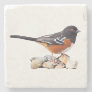 PORTA-COPO DE PEDRA TOWHEE MANCHADO