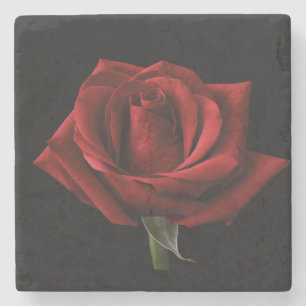 Porta-copo De Pedra travesseiro decorativo Rosa vermelha