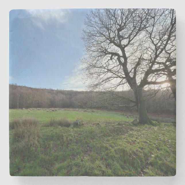 Porta-copo De Pedra Tree view.. (Frente)