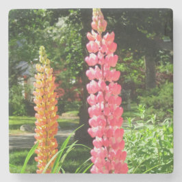 Porta-copo De Pedra Tremoços num Jardim de Algodão - Vinha de Martha