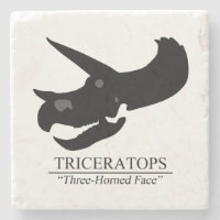 Triceratops Skull