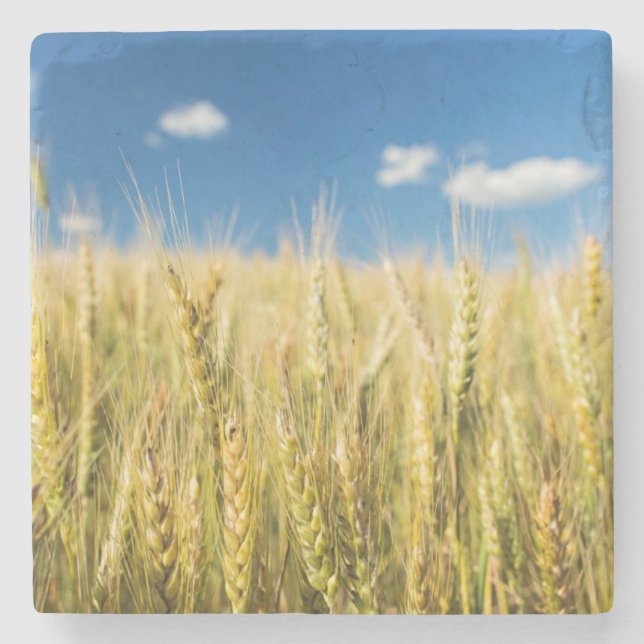 Porta-copo De Pedra Trigo de Kansas (Frente)
