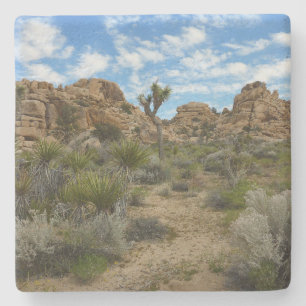 Porta-copo De Pedra Trilha de Barker Dam Loop no Parque Nacional de Jo