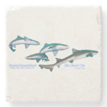 Tubarões-de-galeria