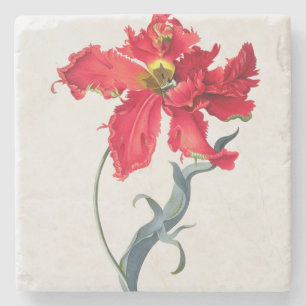 Porta-copo De Pedra Tulipa: Vermelho de Perroquet
