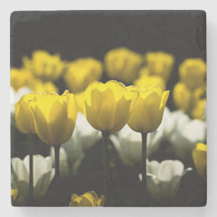 Porta-copo De Pedra Tulipas amarelo e branco