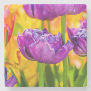 Porta-copo De Pedra Tulipas Encantando Rosa Profundo
