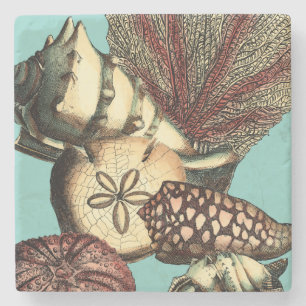 Porta-copo De Pedra Turquesa Shell e Red Coral Collection