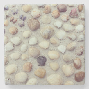 Porta-copo De Pedra Uma coleção dos Seashells