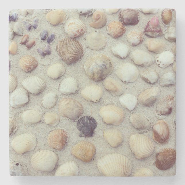 Porta-copo De Pedra Uma coleção dos Seashells (Frente)