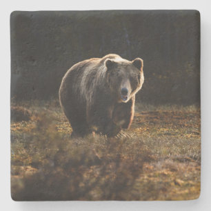 Porta-copo De Pedra Urso